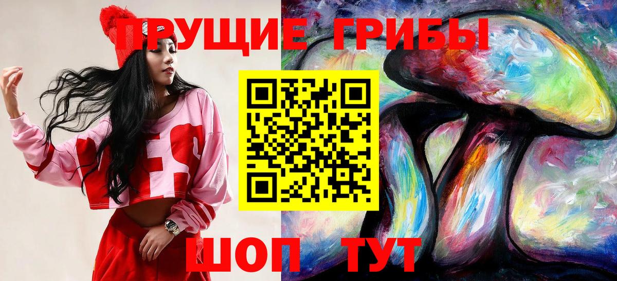 Псилоцибиновые грибы ЛСД  где купить наркоту  Новокузнецк  Галлюциногенные грибы Psilocybe  Вход с VPN 